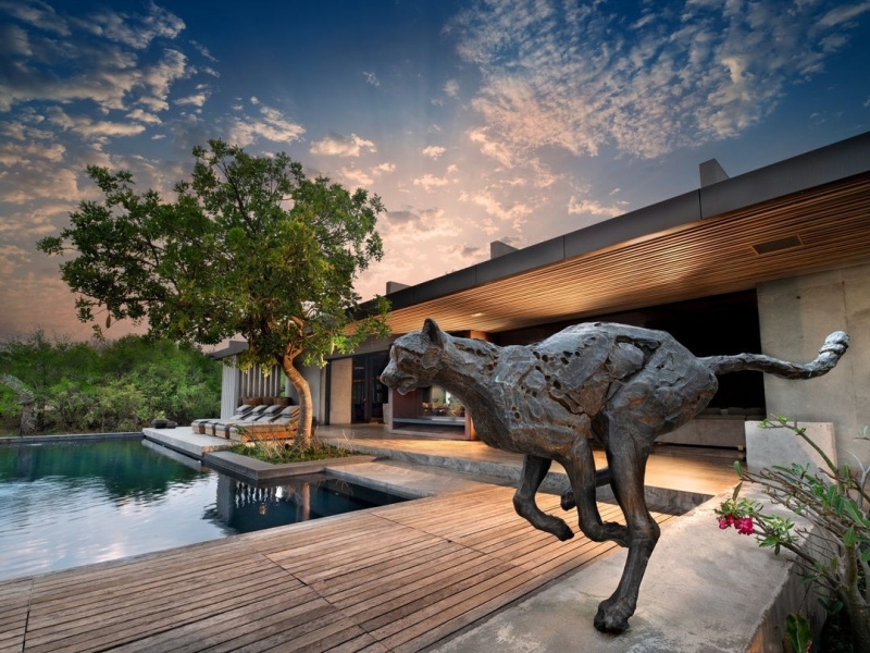 Your Oasis in The Bush